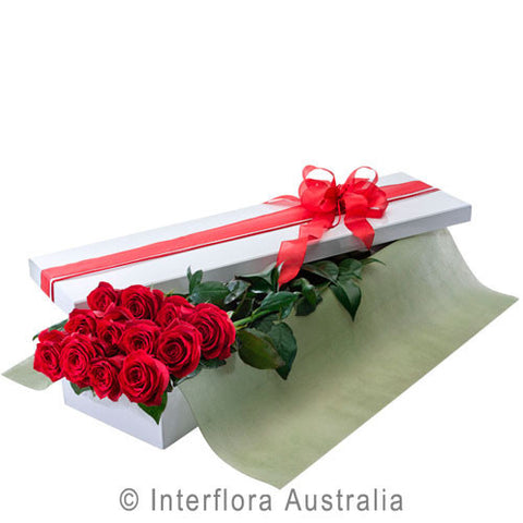 Roses Presentation Box