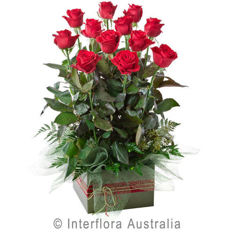 Roses - Box Arrangement