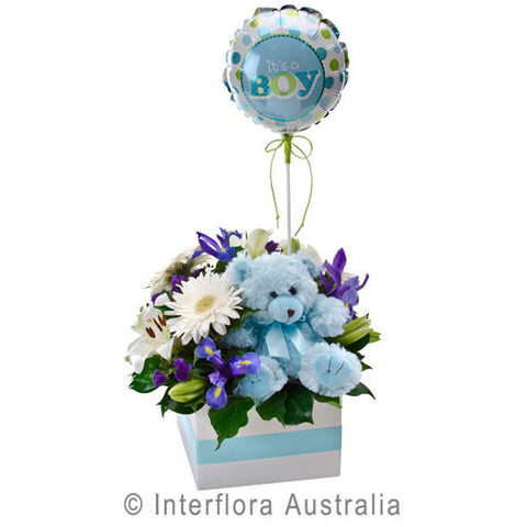 Baby Boy Box Arrangement