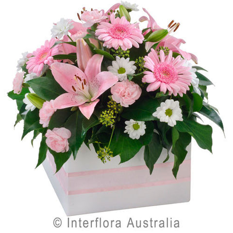 Flower Box - Pastel