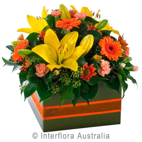 Flower Box - Bright