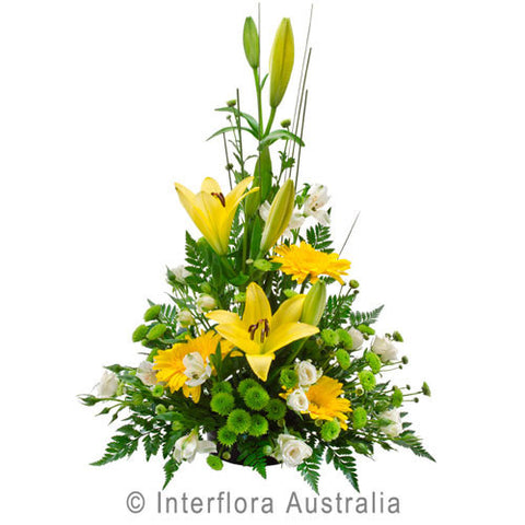 Sympathy Bowl