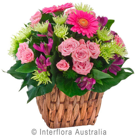 Basket - Bright