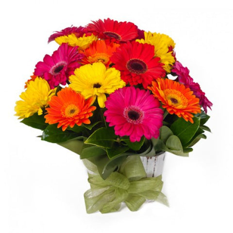 Gerbera Box - Bright