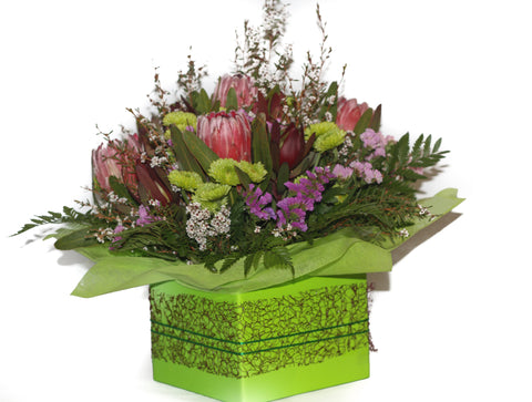 Native Box Arrangement