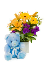 Ceramic Arrangement & Soft Toy