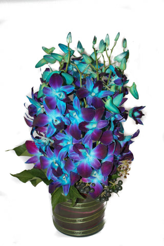 Orchids in Ceramic