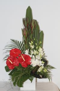 Tropical Ceramic - Large